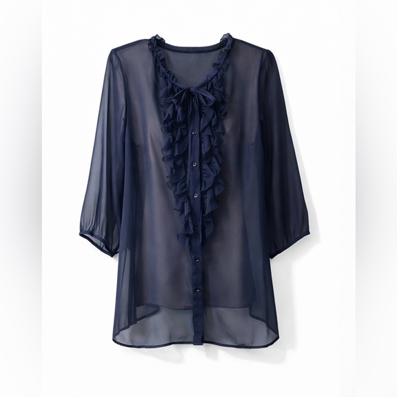 🦋 Sheer, Ruffle Navy Button Down Blouse - Picture 1 of 10